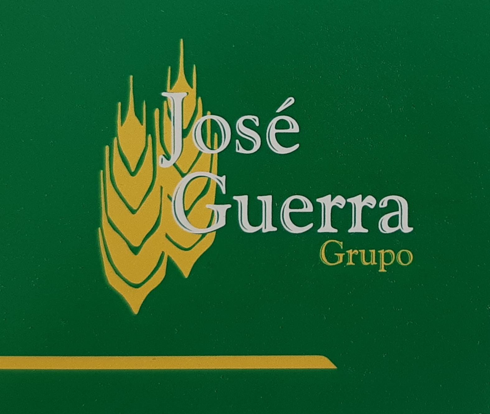 Logo Grupo José Guerra